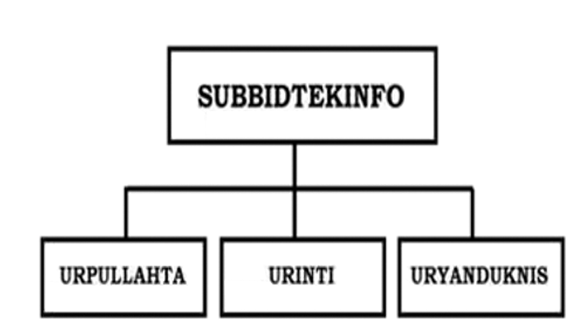 Struktur organisasi TEKINFO